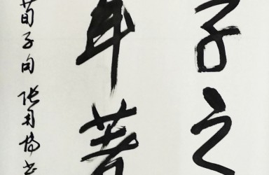 张用博—书画篆刻文献展